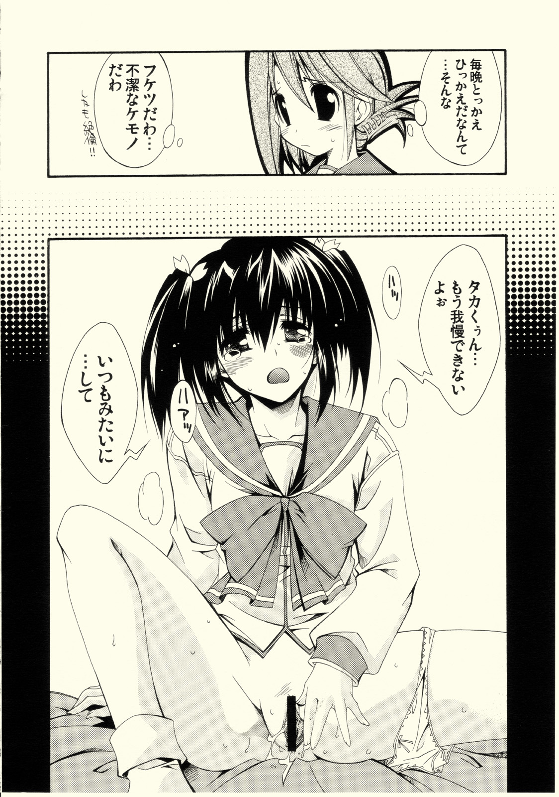 (C68) [MIX-ISM (犬威赤彦)] cherryflip (トゥハート2)