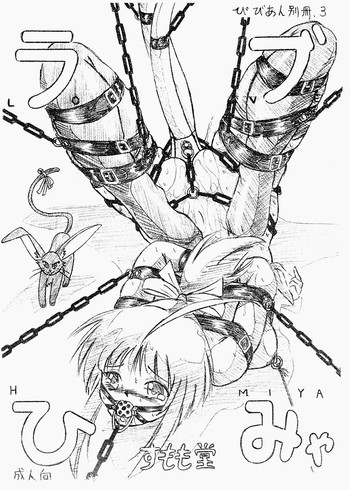 (C61) [すもも堂 (すももEX)] びびあん別冊.03 ラブひみゃ