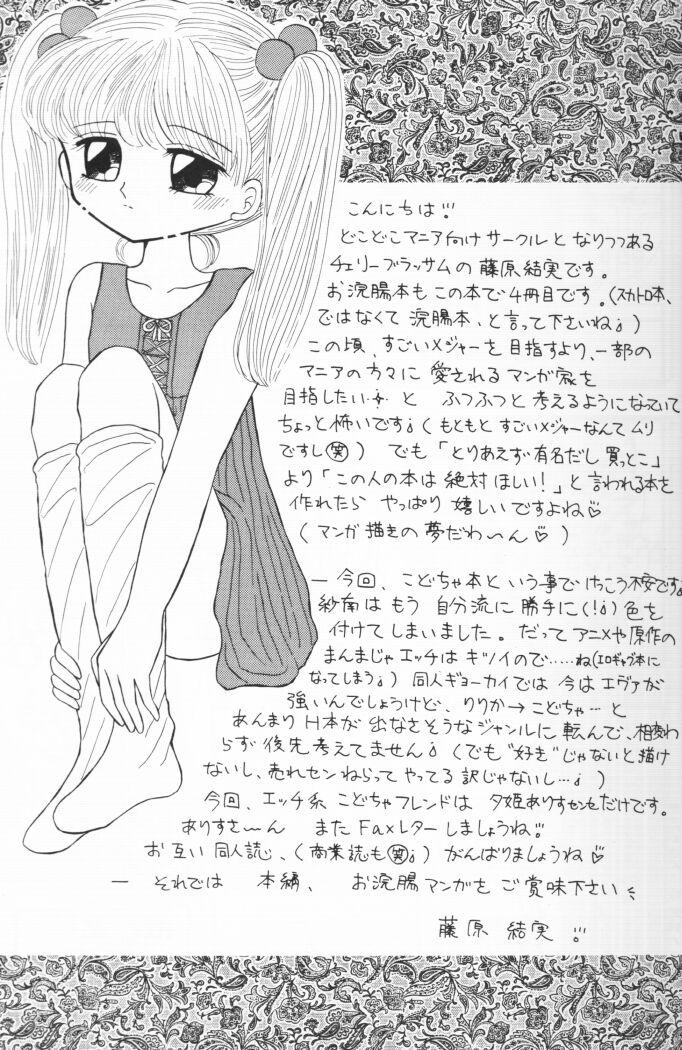 [チェリーブラッサム (藤原結実)] 国民のおもちゃ新発売！ (こどものおもちゃ)