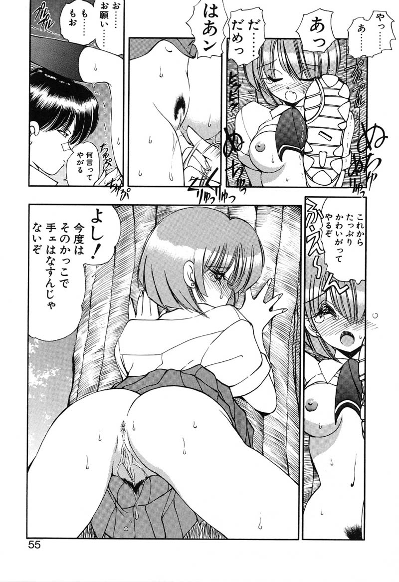 [藤咲真] 凛としましょ