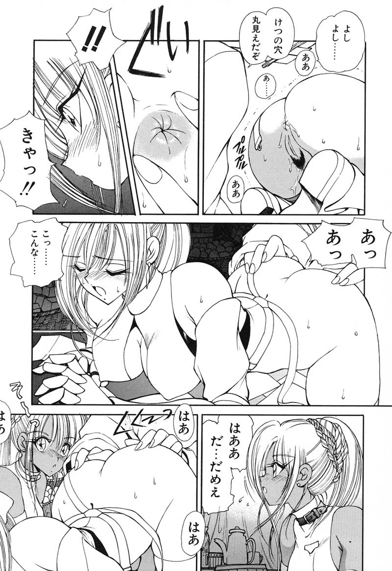 [藤咲真] 凛としましょ