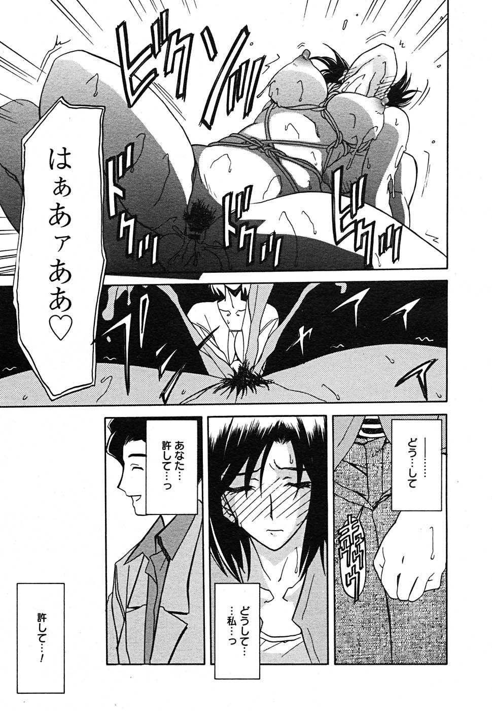 【アンソロジー】【2005-09-10】COMICMEGAPLUS Vol.24（2005-10）