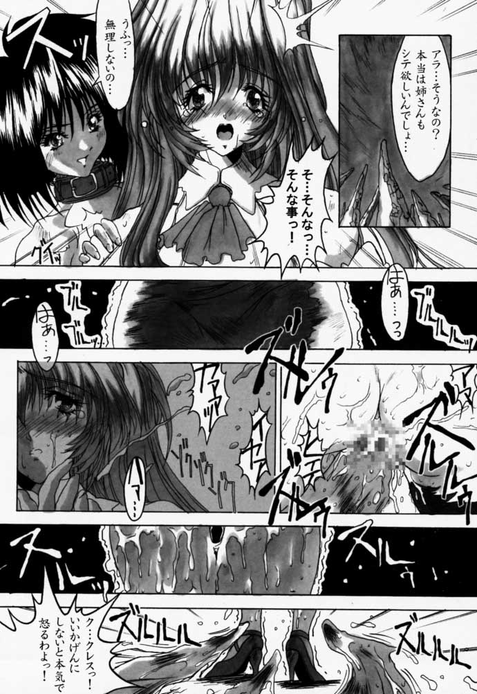 (C56) [Synthetic Garden (美和美和)] Ceramic Hearts 2 The Tin Tears