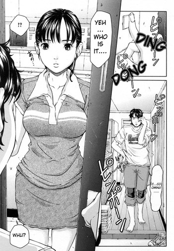 4階からの猫[英語]