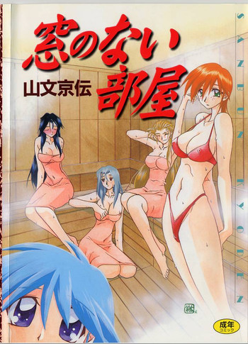 [山文京伝] 窓のない部屋