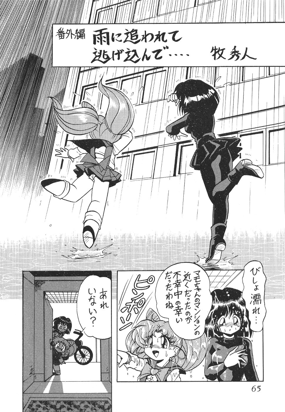 (C53) [サーティセイバーストリート・2D-シューティング (牧秀人, 佐原一光)] サイレント・サターン 4 (美少女戦士セーラームーン)