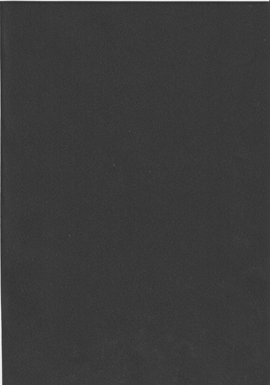 (C73) [FASTEST LAP (MIO)] Lost Property 2 (魔法少女リリカルなのは)