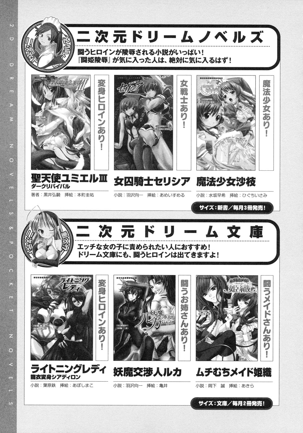 [アンソロジー] 闘うヒロイン陵辱アンソロジー 闘姫陵辱 6