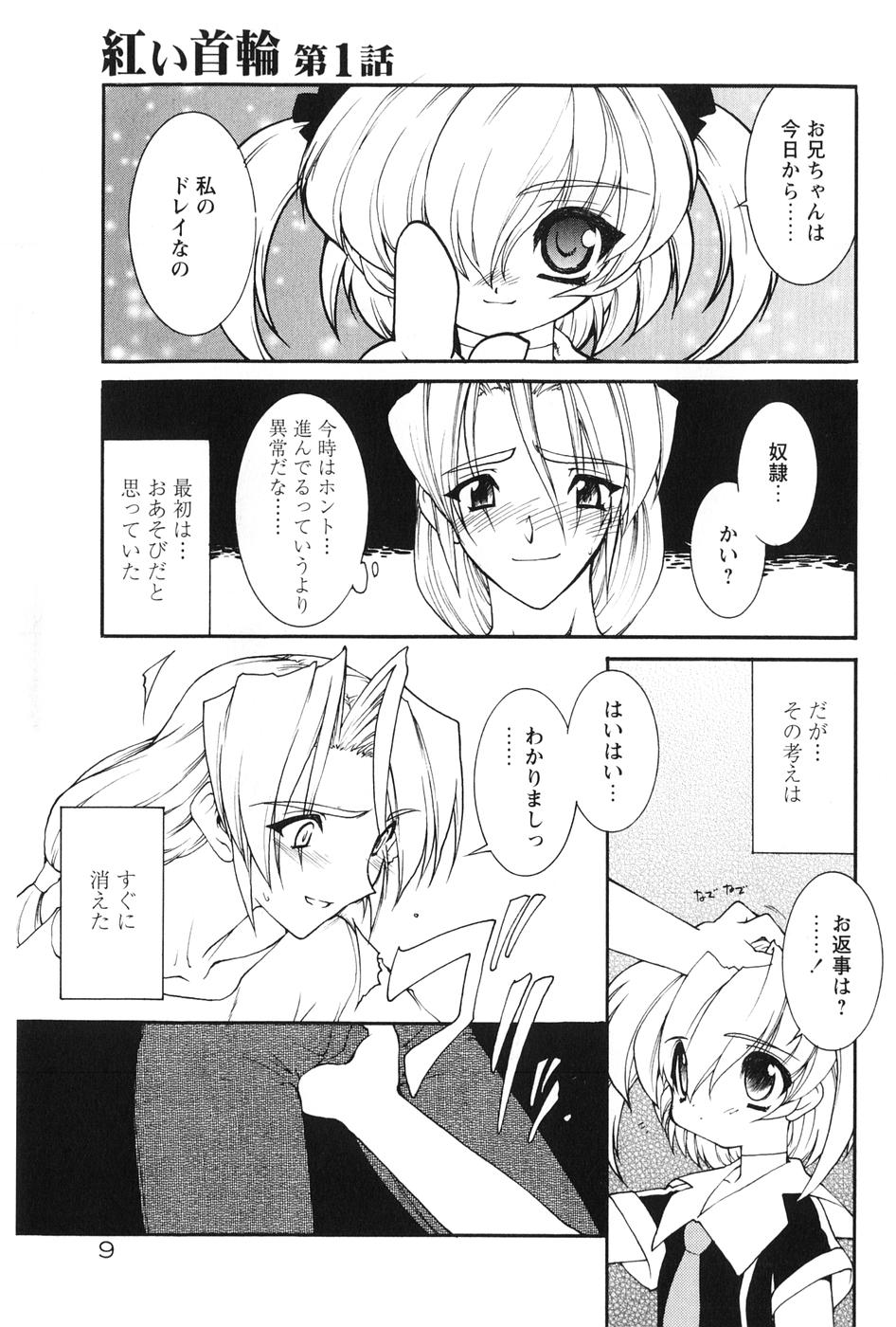 [龍炎狼牙] 紅い首輪と代価のカタチ