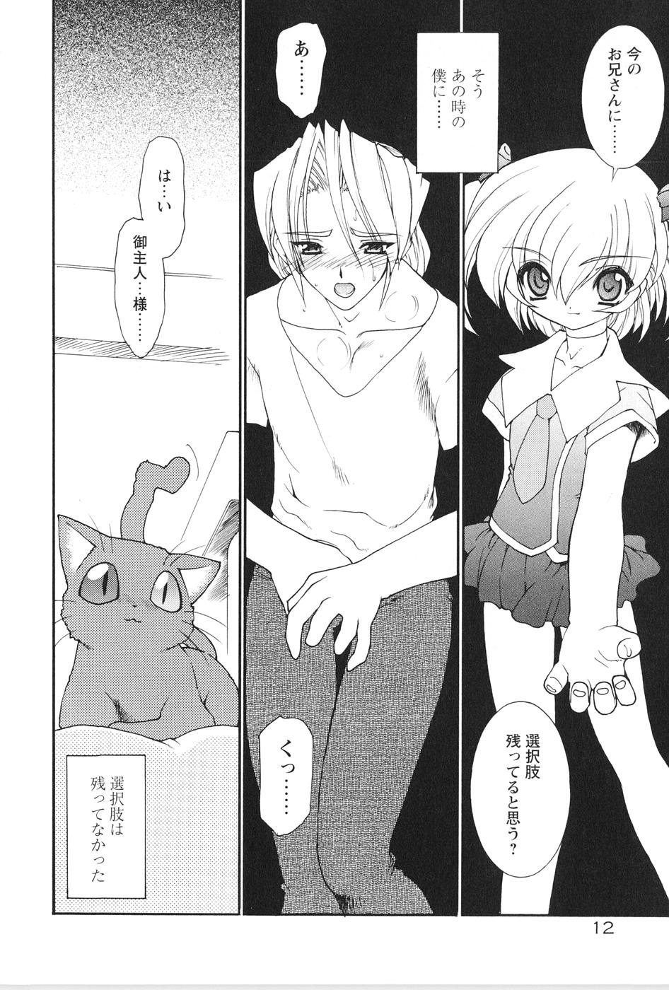 [龍炎狼牙] 紅い首輪と代価のカタチ