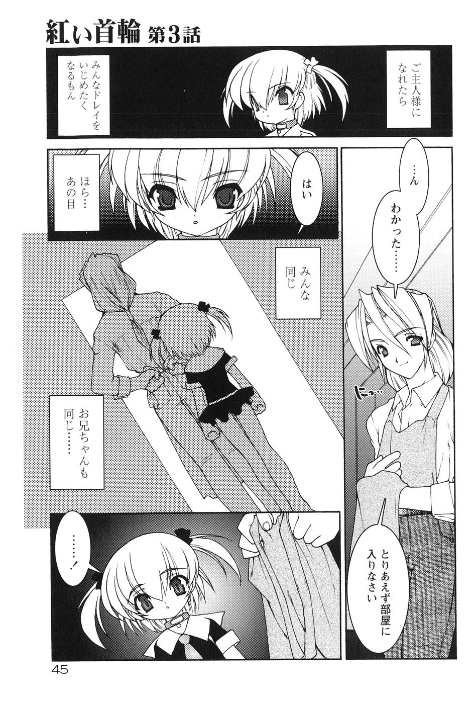 [龍炎狼牙] 紅い首輪と代価のカタチ