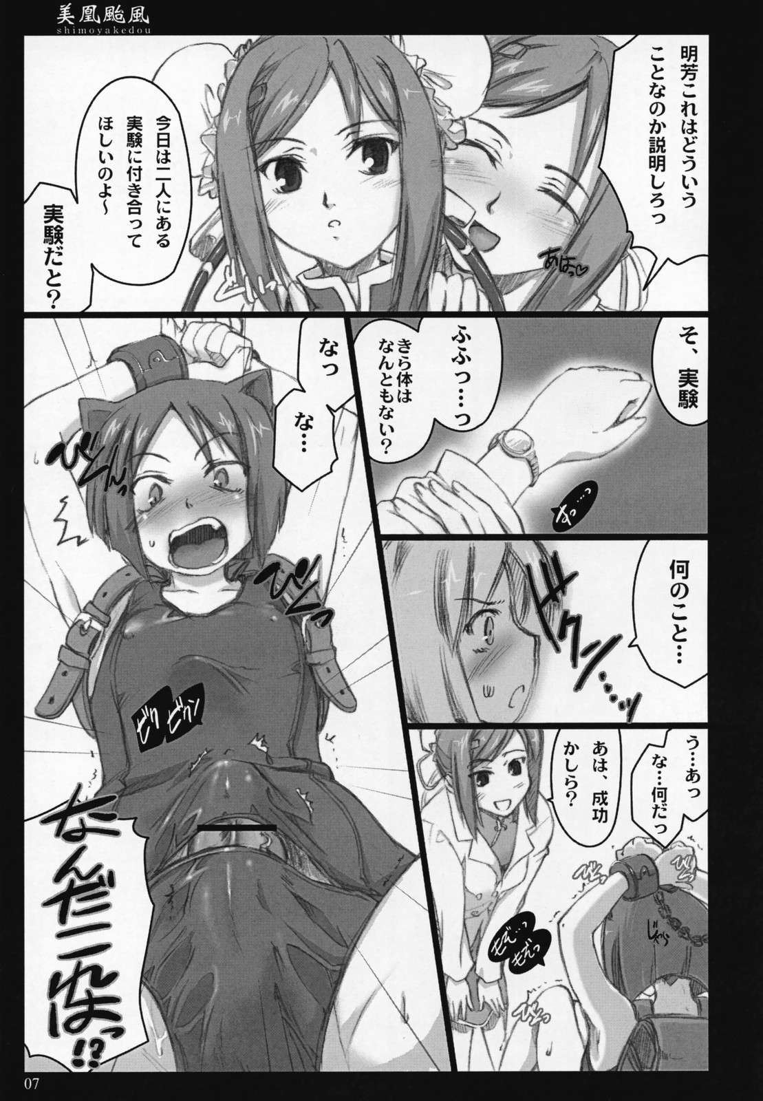 (COMIC1) [しもやけ堂 (逢魔刻壱)] 美鳳颱風 (アルカナハート)