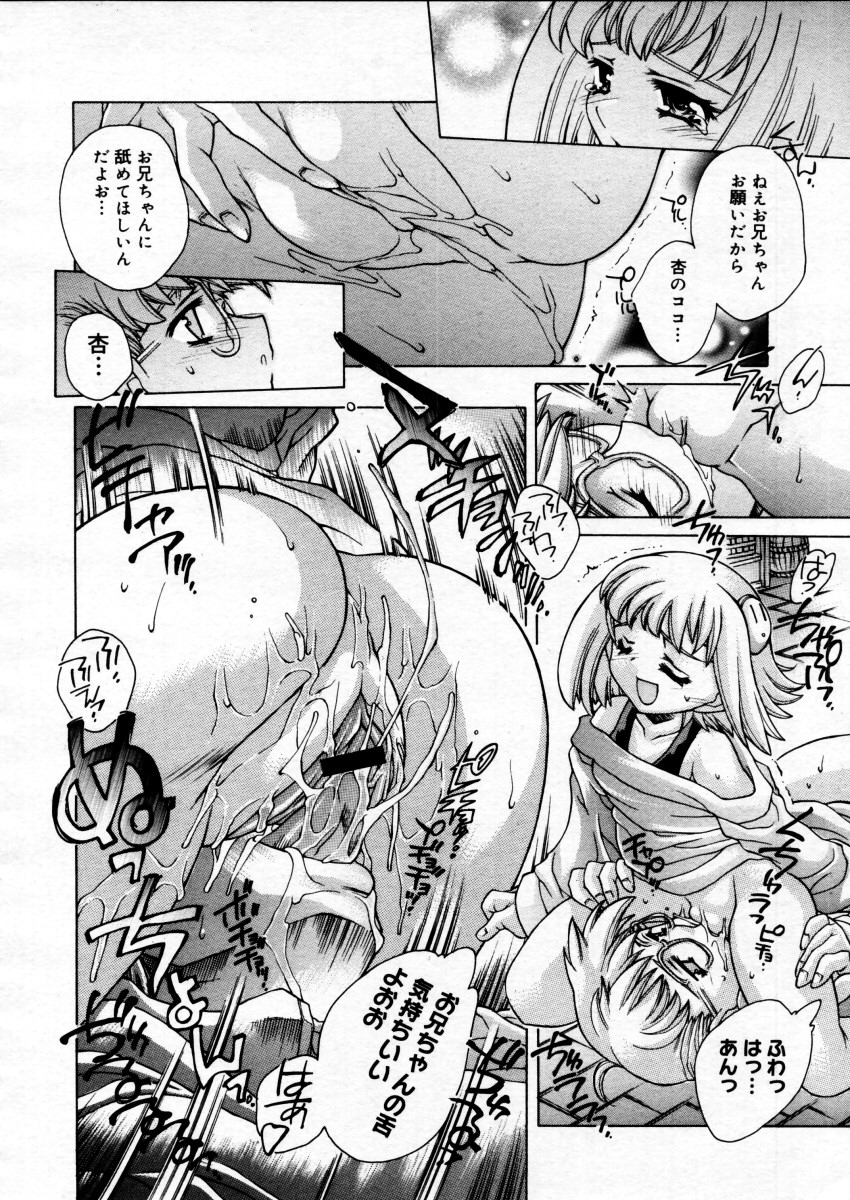 コミックメガストアH 2005年12月号