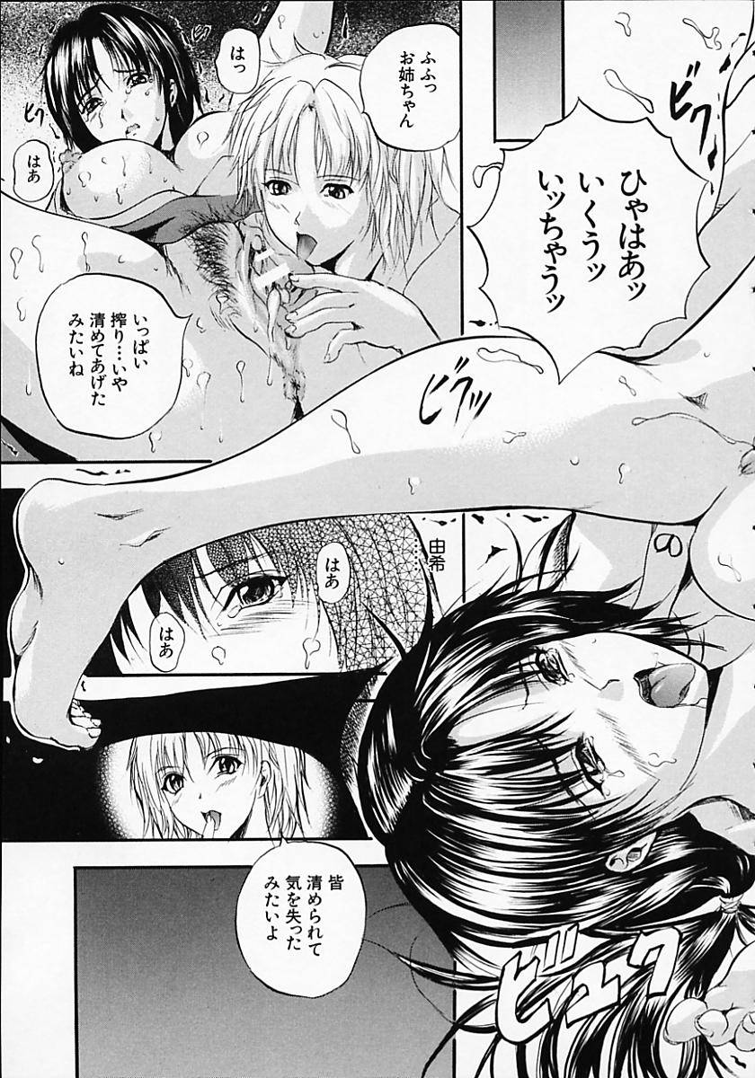 [いずみきょうた] SAKURA