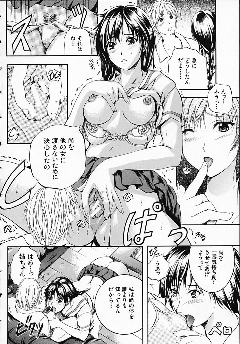 [いずみきょうた] SAKURA