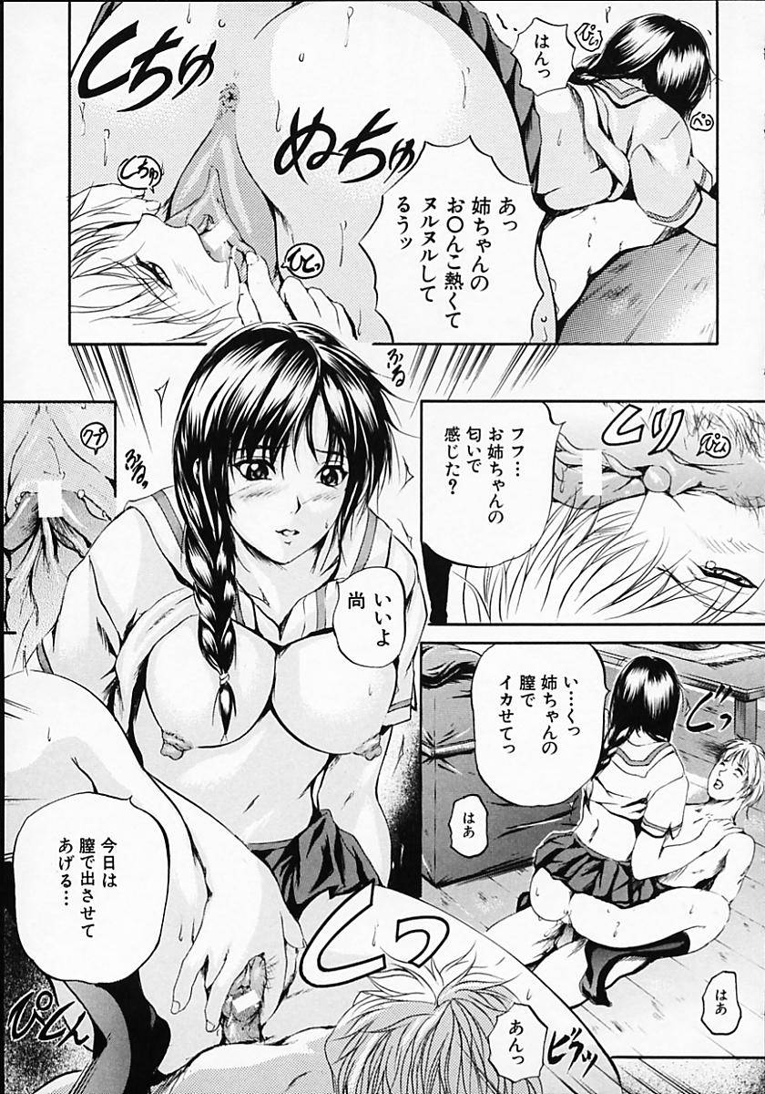 [いずみきょうた] SAKURA