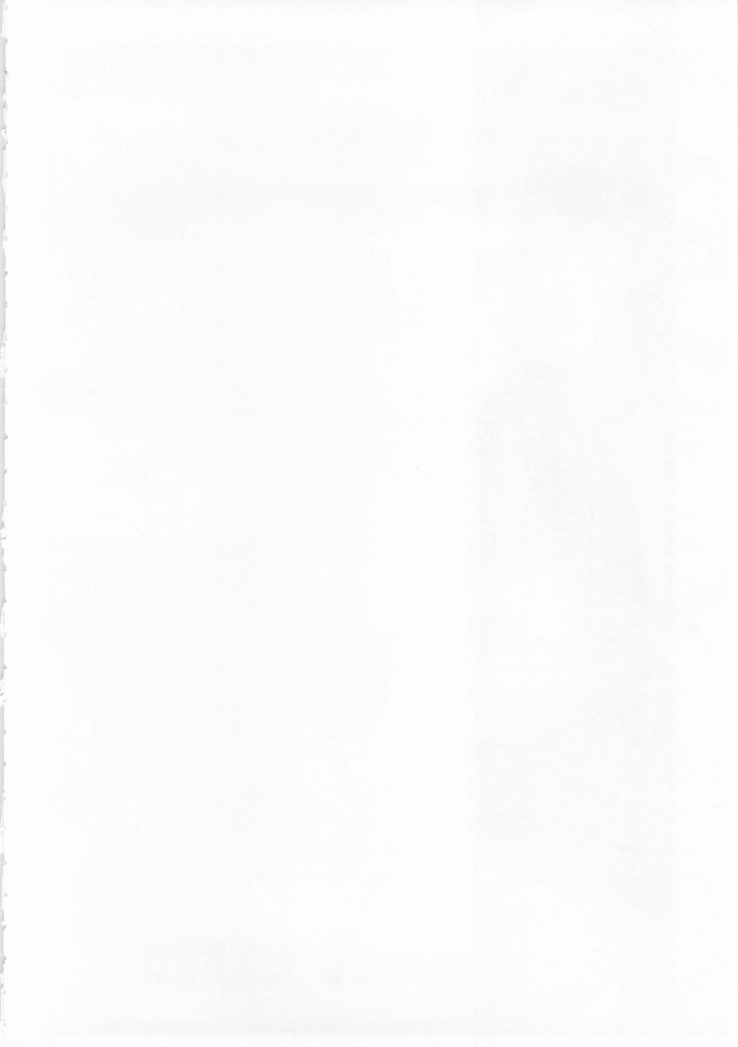 (C73) [Type-G (イシガキタカシ)] Rainy Day And Day (魔法少女リリカルなのは StrikerS)