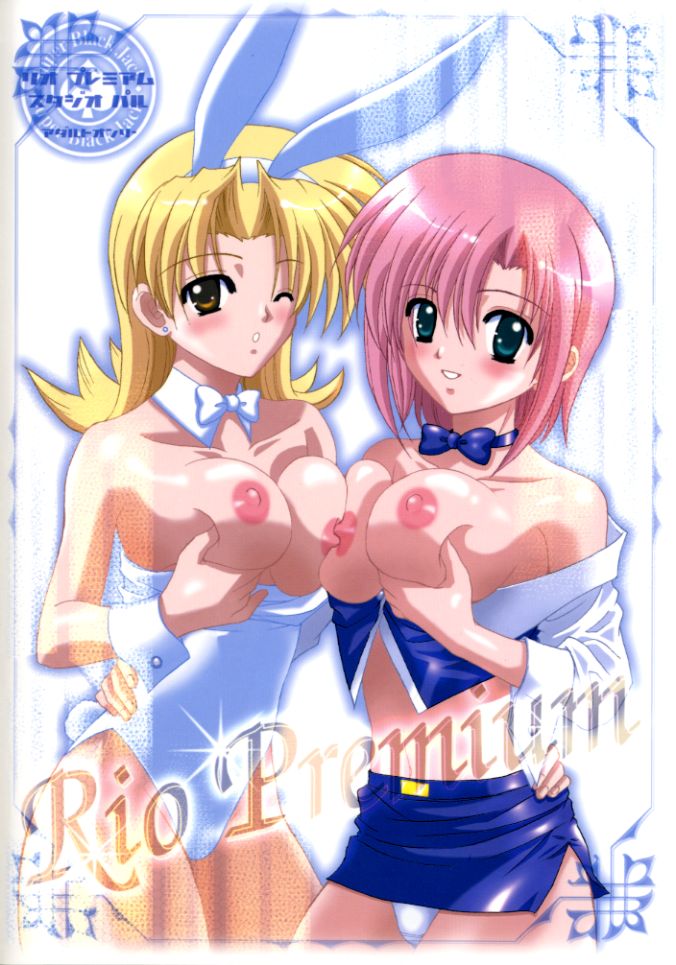 [STUDIO PAL (八月薫、南野琴)] Rio Premium (スーパーブラックジャック)