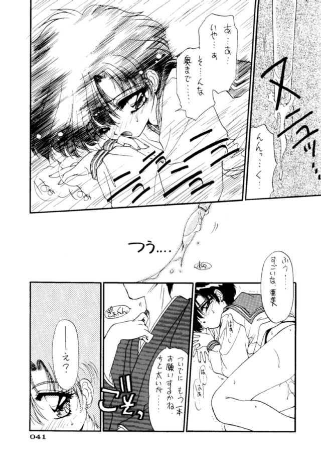 (C45) [UROBOROS (よろず)] PARASELENE (美少女戦士セーラームーン)