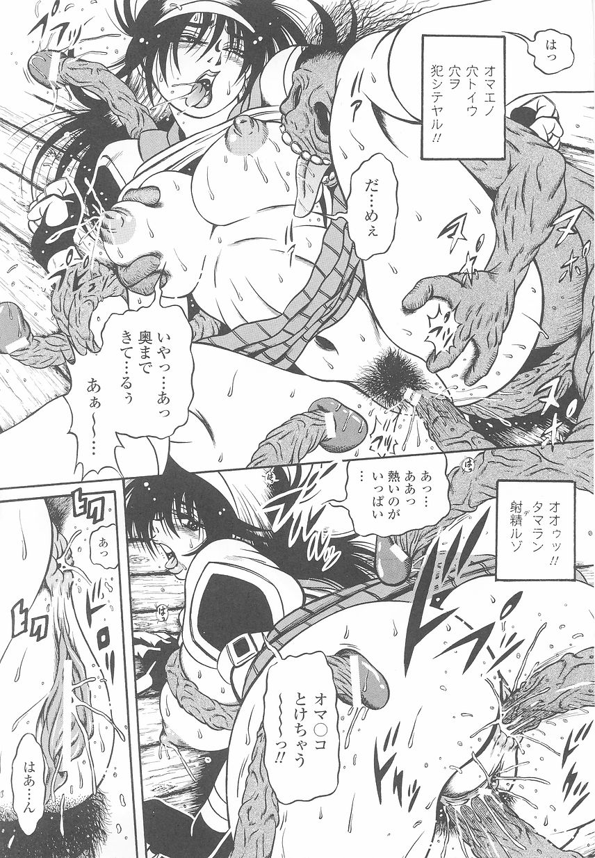 [アンソロジー] 闘うヒロイン陵辱アンソロジー 闘姫陵辱24