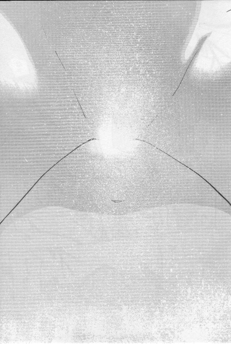 [田中ユタカ] 初夜 2