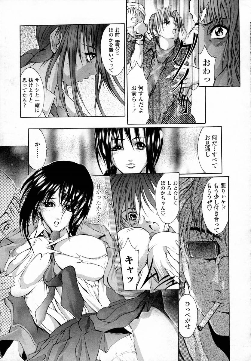 [GRIFON] 桃肉玩具