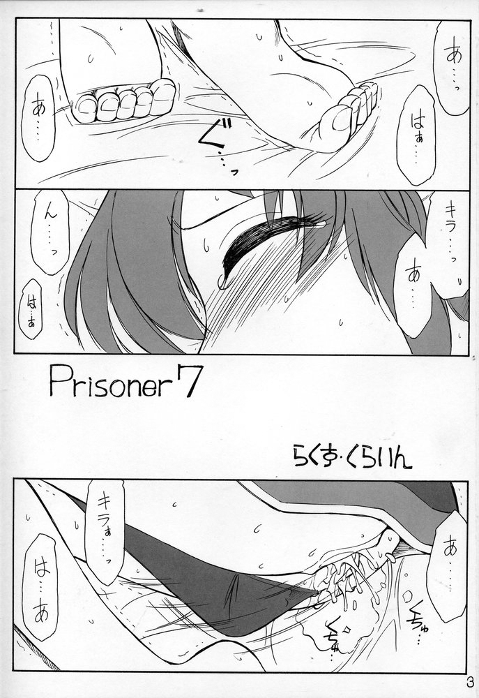 (C69) [EINSATZ GRUPPE (チャーリーにしなか)] PRISONER 7 The Original Bird (機動戦士ガンダムSEED DESTINY)