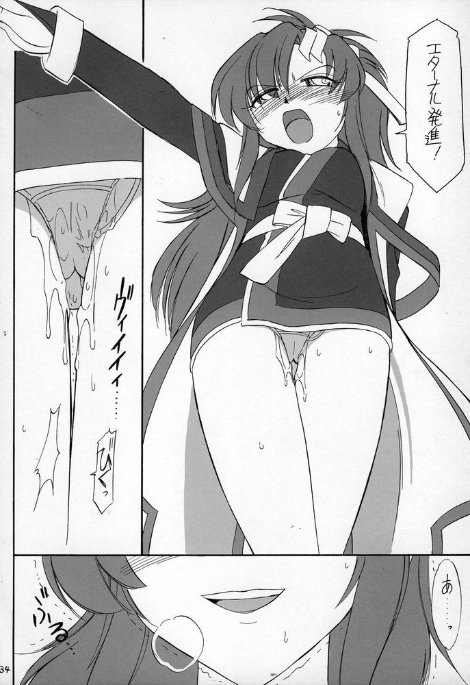 (C69) [EINSATZ GRUPPE (チャーリーにしなか)] PRISONER 7 The Original Bird (機動戦士ガンダムSEED DESTINY)