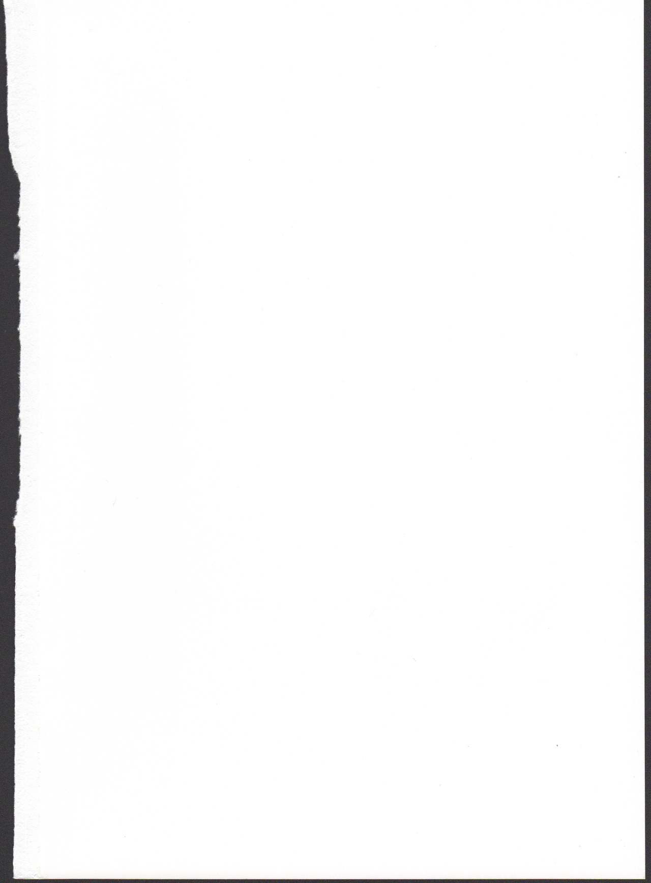 (C87) [カナリヤバいカナリヤ (まゃ～吾郎)] アルマがアレコレされるのを眺める本。2 (神羅万象)