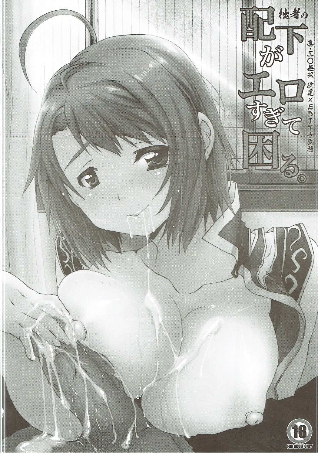 (C87) [H.A.O (Tom)] ハオコレ2 (真・三國無双)