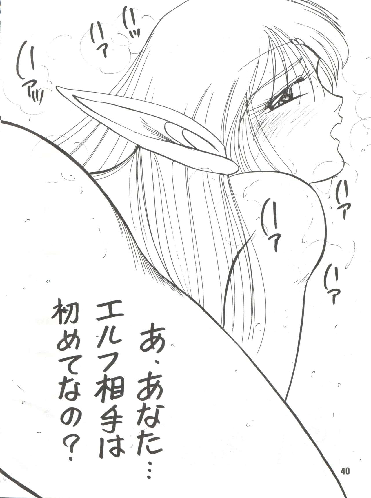 [MINIES CLUB (よろず)] Elf vermouts - minies club 28 (ロードス島戦記)