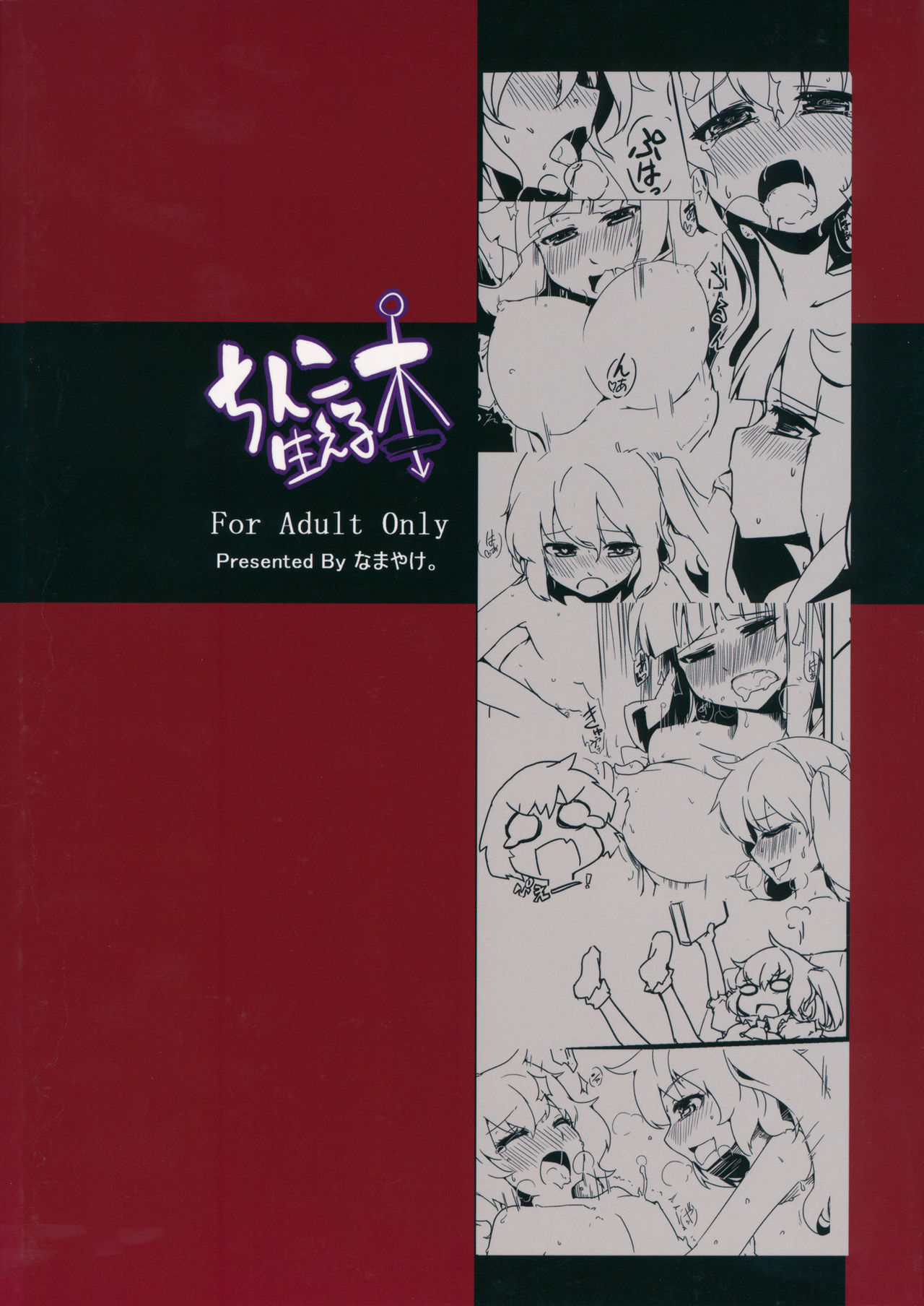 (例大祭12) [なまやけ。 (ハリー)] ちんこ生える本 (東方Project)