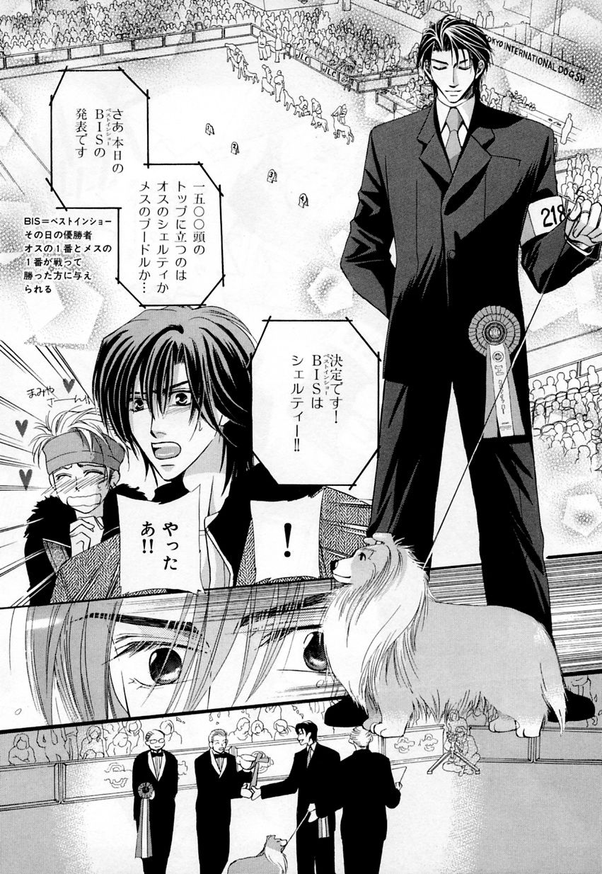 [アンソロジー] b-BOY Phoenix Vol.3 ツンデレ特集