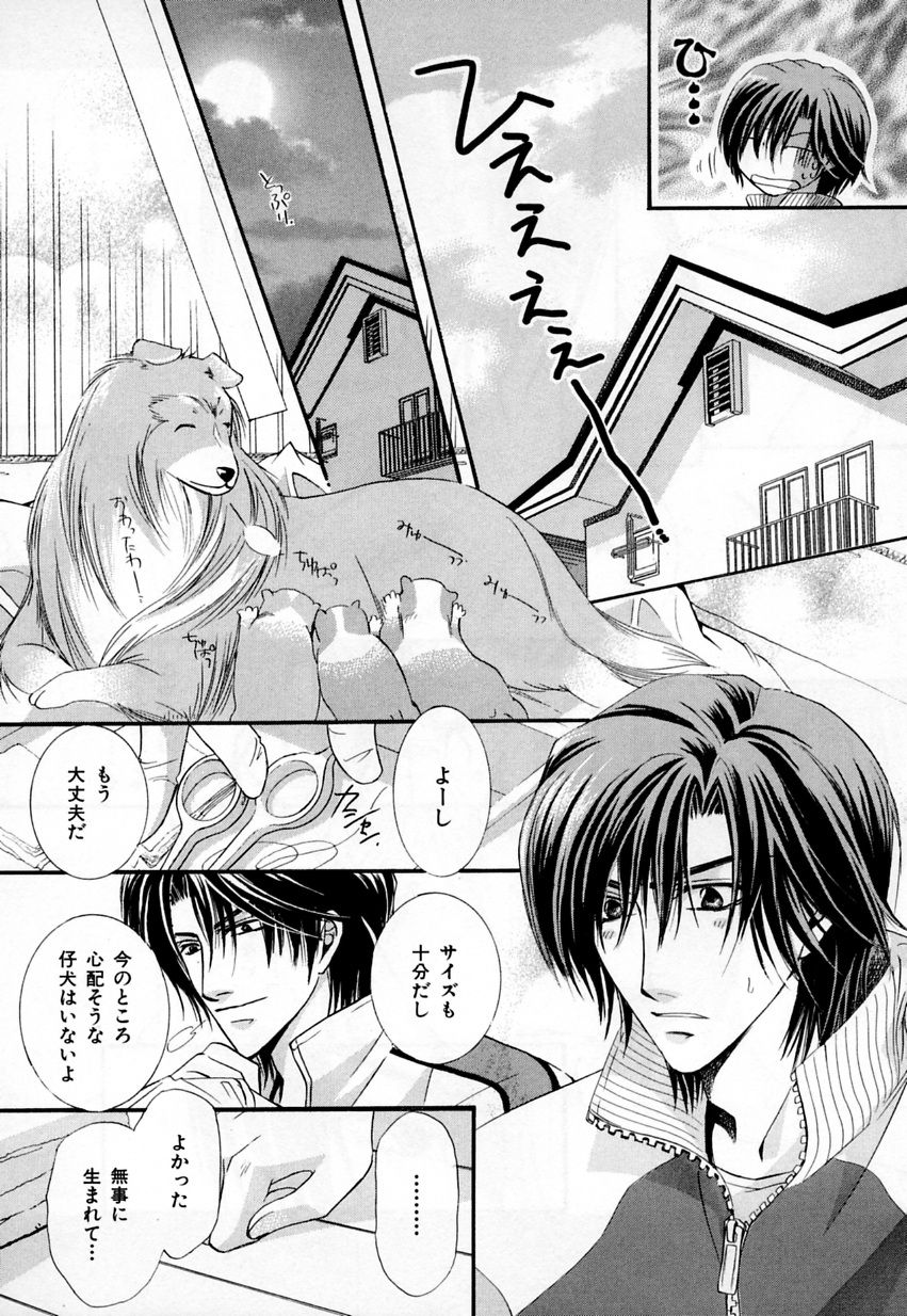 [アンソロジー] b-BOY Phoenix Vol.3 ツンデレ特集