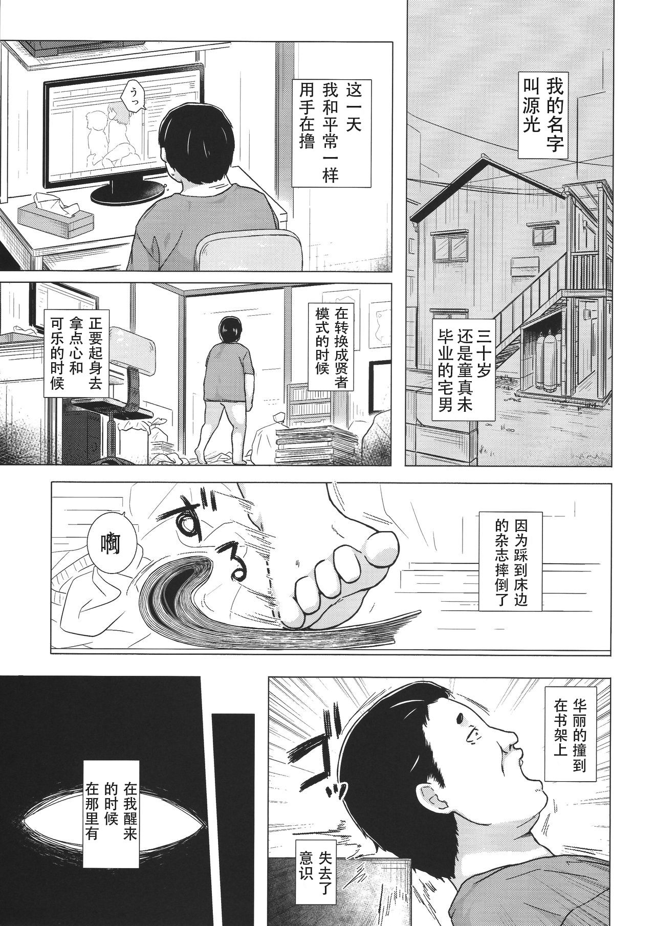 (コミティア118) [ノラネコノタマ (雪野みなと)] 光の君のさがなき計画 <葵> [中国翻訳]