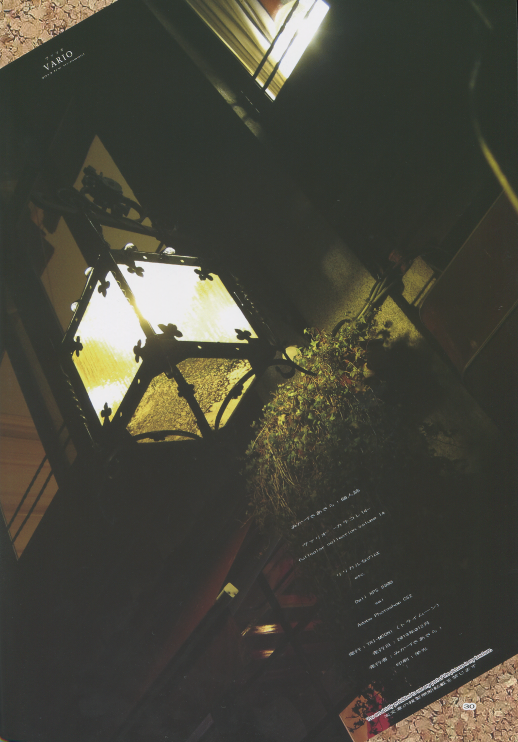 (C85) [TRI-MOON! (みかづきあきら!)] vario (魔法少女リリカルなのは)