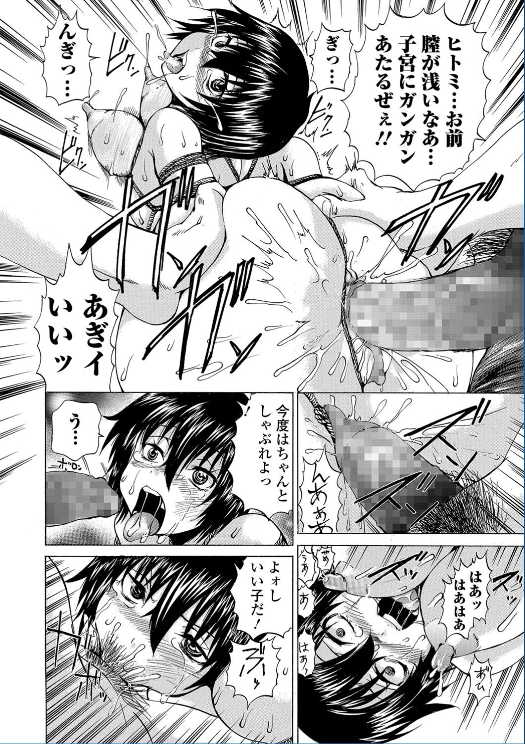 コミック Mate legend Vol.13 2017年2月号 [DL版]