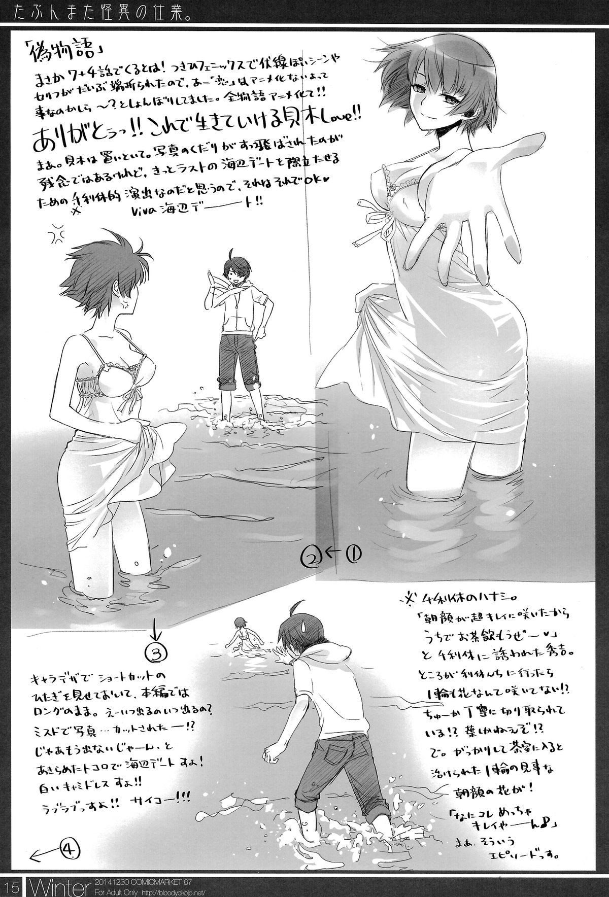 (C87) [Bloody Okojo (芥川まんぼう)] マトメチャイマシタ。【化】 (化物語)