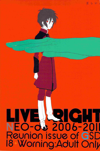 [NEO-de (夏坂)] 正しい人 (機動戦士ガンダムSEED DESTINY)