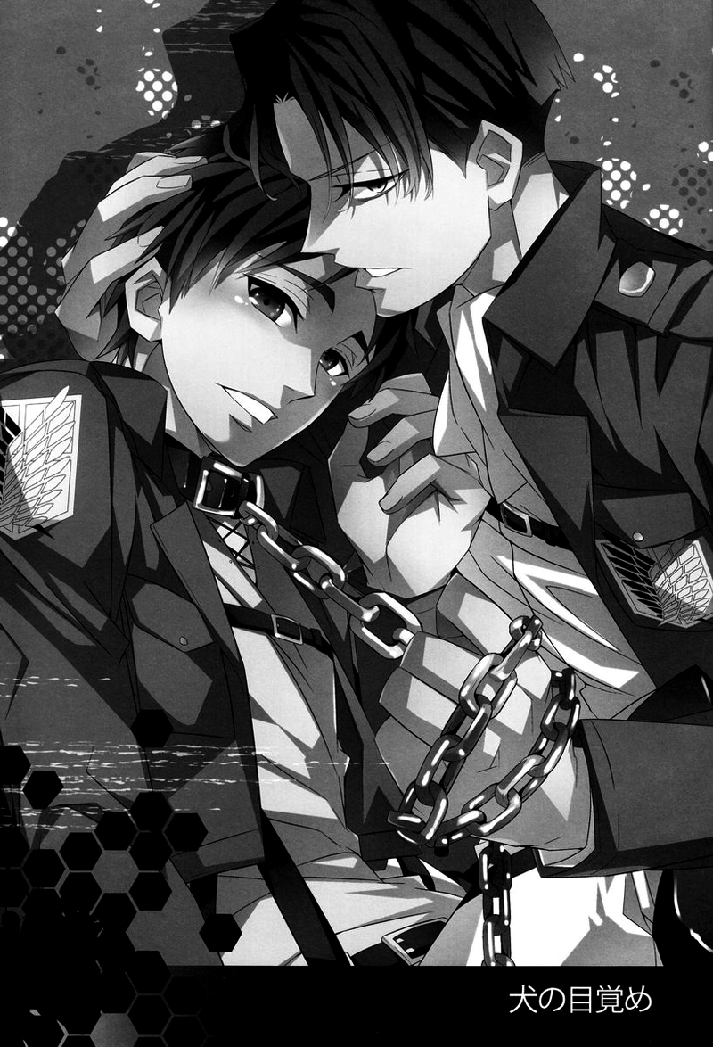 (FALL OF WALL2) [Crazy9 (いちたか)] 犬の目覚め (進撃の巨人) [英訳]