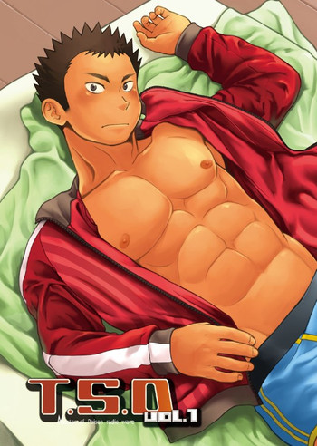 (C84) [毒電波受信亭 (昆布茶)] T.S.D vol.1