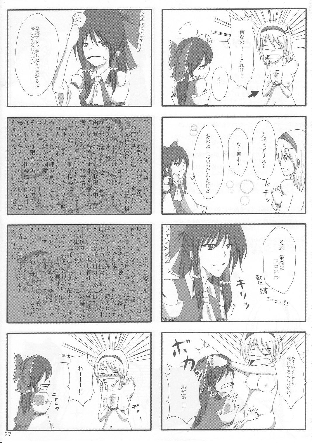 (紅楼夢8) [白銀木犀 (ぽし)] 良い子を作ろう構えはバック (東方Project)