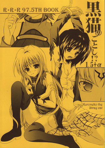 (C71) [RED RIBBON REVENGER (魔公子)] 黒猫のごとし？1.5+α (ブラックキャット)