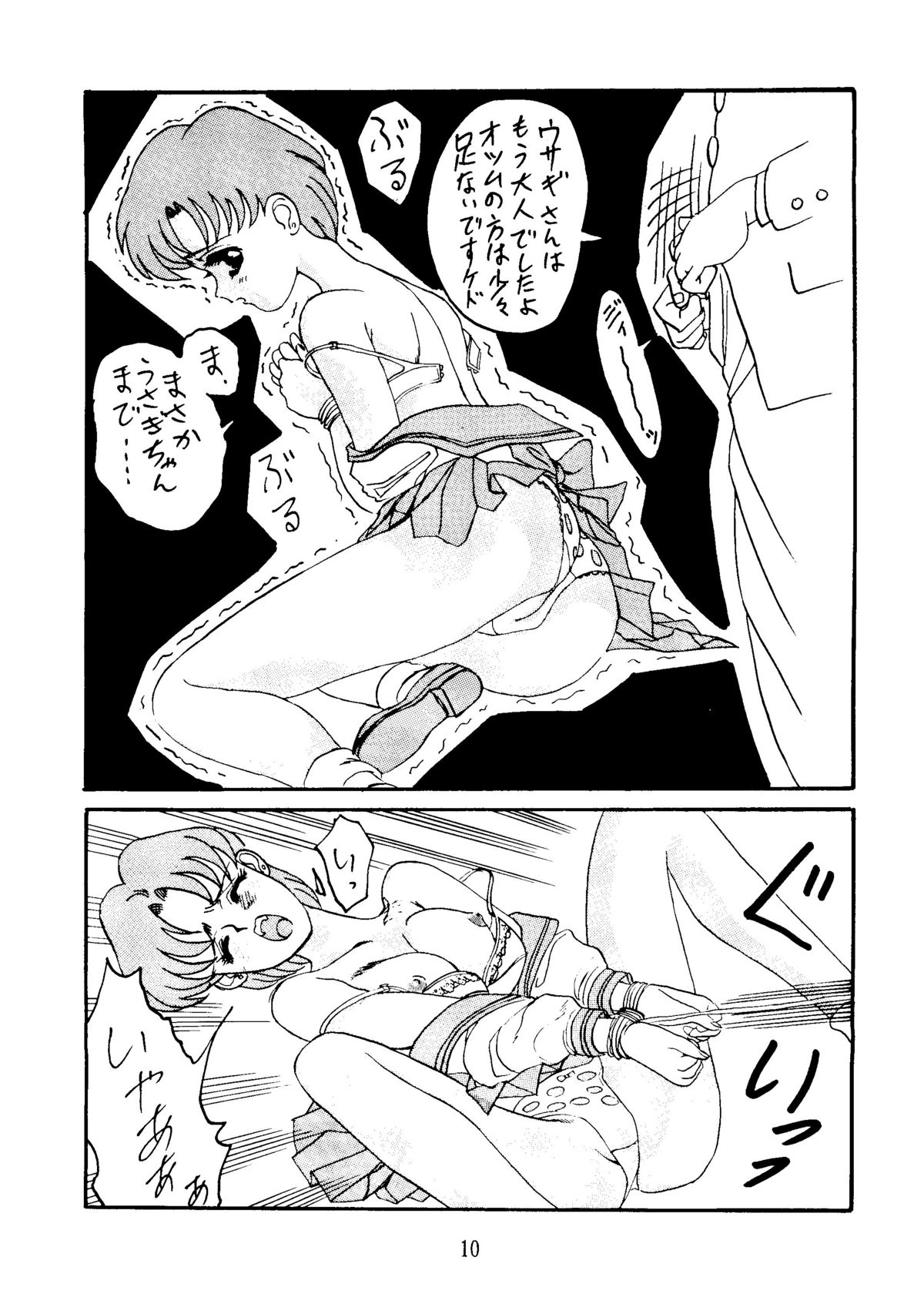 【だぐうひらぬま】C.ムーン（セーラームーン）