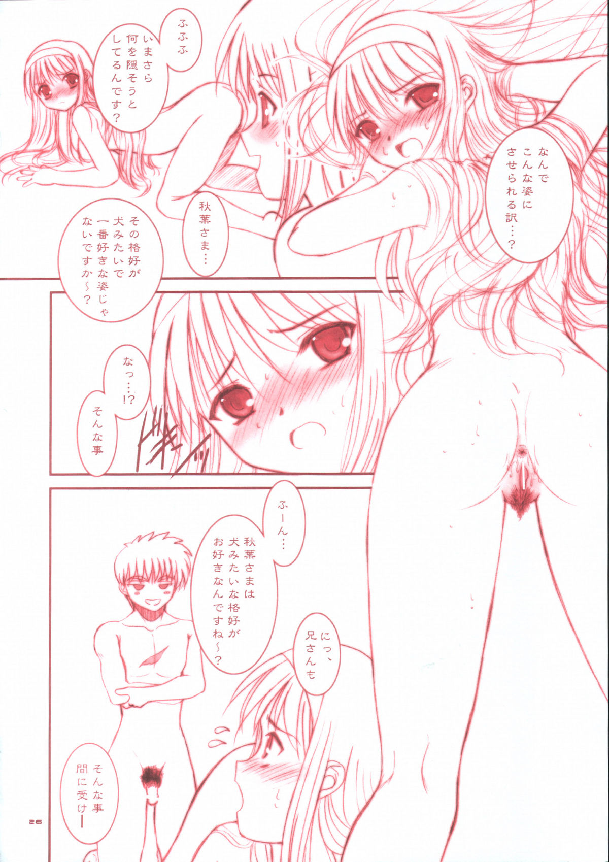 (Cレヴォ33)[ディエップ工房 (あるぴ～ぬ)] PORNOGRAFFITI SIDE-B (月姫)