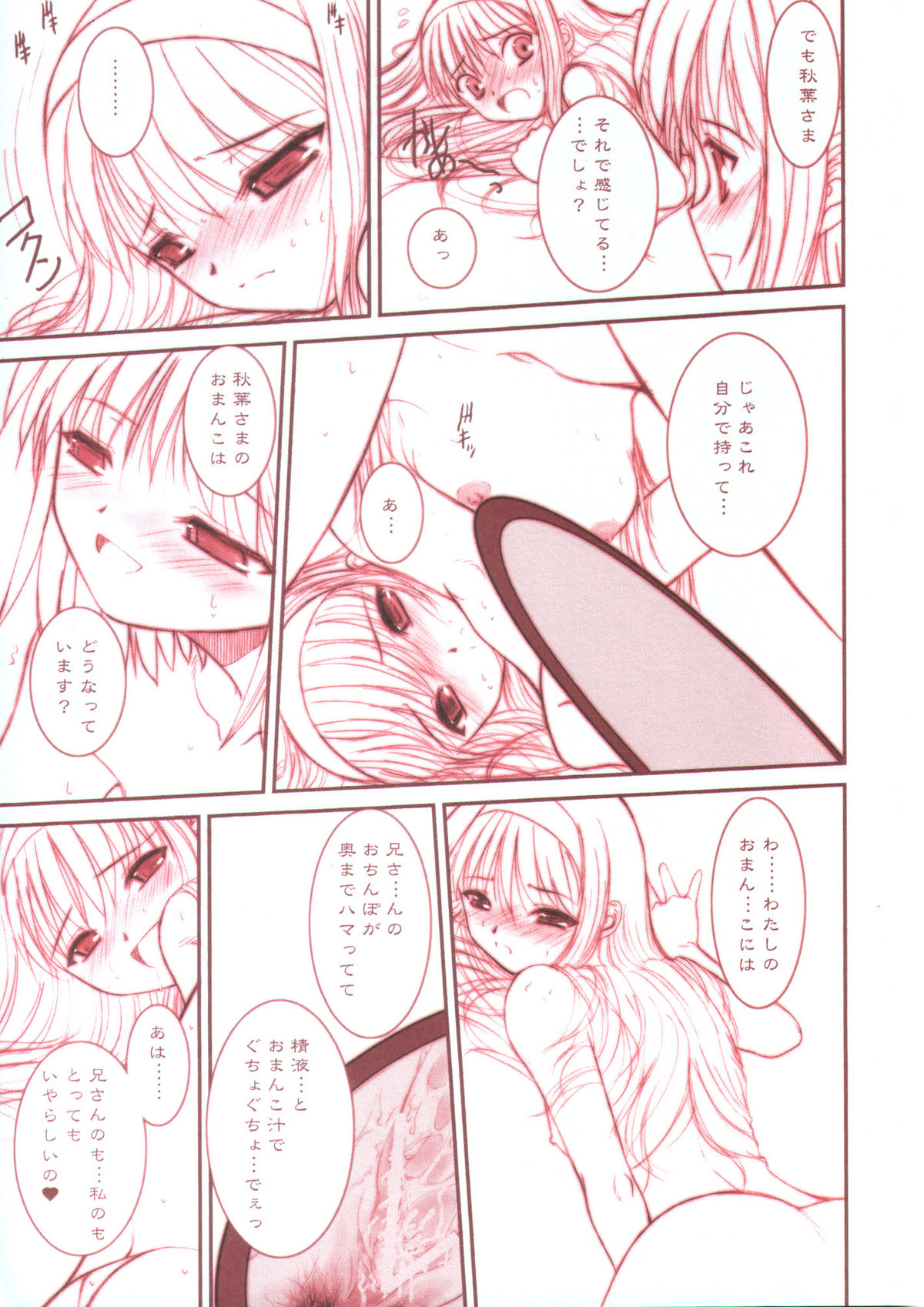 (Cレヴォ33)[ディエップ工房 (あるぴ～ぬ)] PORNOGRAFFITI SIDE-B (月姫)