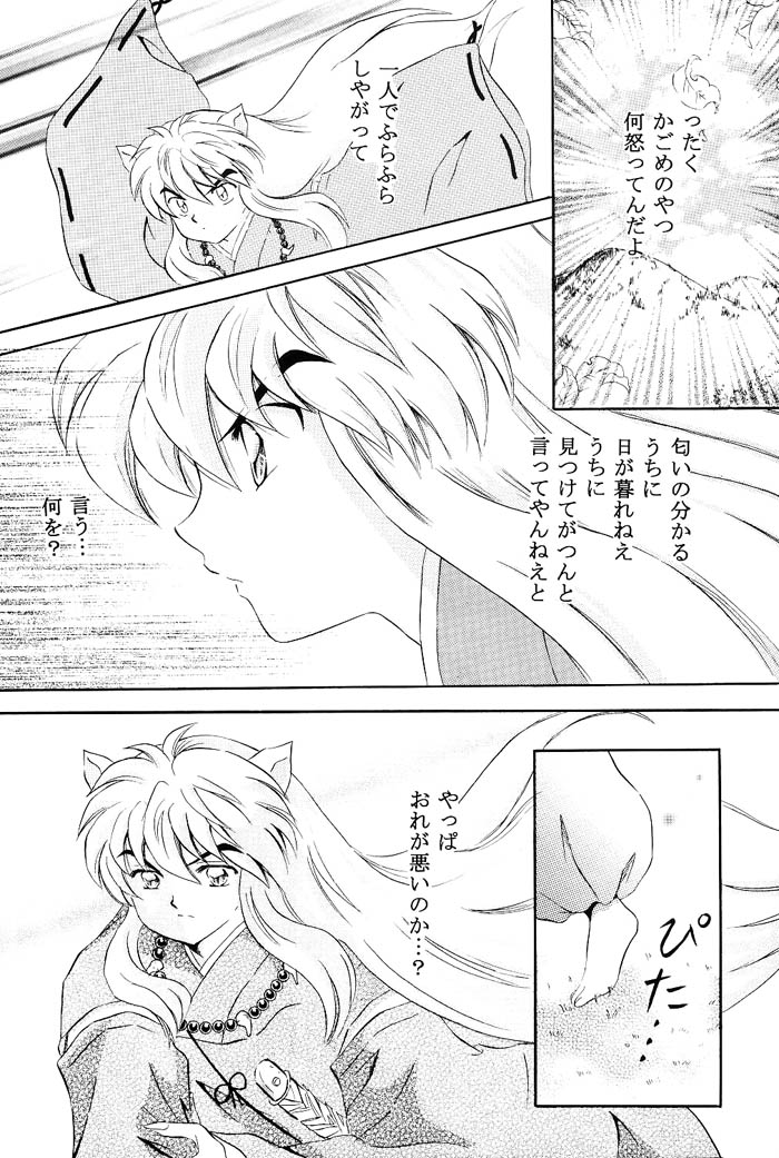 [はなさらさ (うつき暮羽)] びいどろ浪漫 (戦国お伽草子ー犬夜叉)