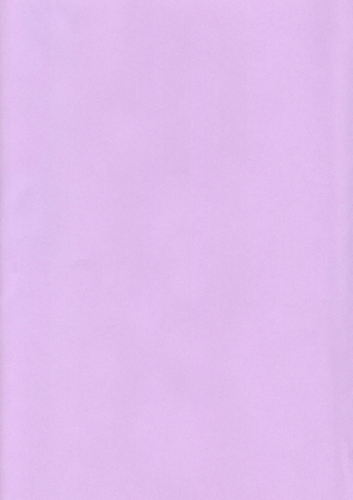 (C58) [へらぶな (いるまかみり)] 犬／紫 (デッド・オア・アライブ) [英訳] [無修正]