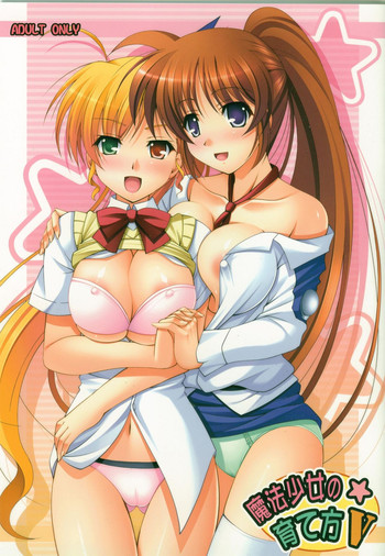 (C77) [K-Drive (鳴滝しん)] 魔法少女の育て方V (魔法少女リリカルなのは) [英訳]