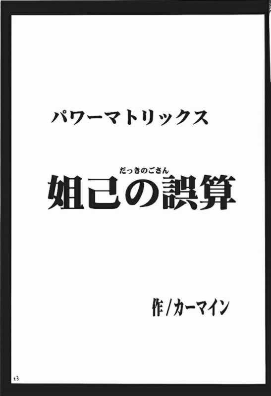 パワーマトリシクス